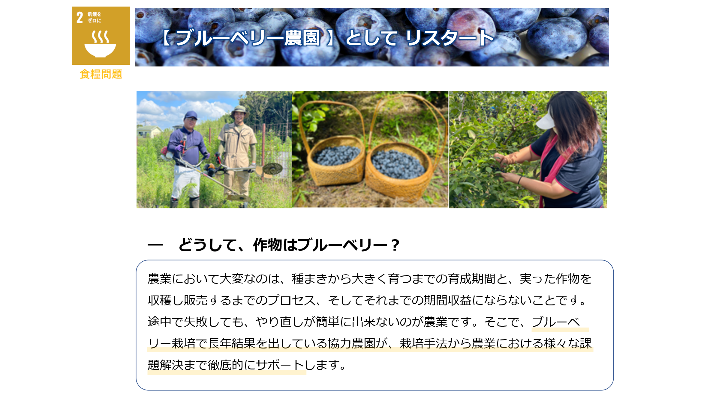 【高齢者と子どもを巻き込んで、地域に貢献】―何が地域社会の貢献につながるの？ブルーベリー農園の農作業は、近隣の高齢者の方に行っていただくことで「健康の為に運動」や「年金以外での収入源」となり、地域の活性化につながります。さらに、近所の学校や幼稚園などにブルーベリー狩りの場を提供することで、子供たちに愛情を込めた作物の生育や食料のありがたさを伝え、教育面としても社会に貢献することができます。